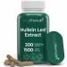 LongLifeNutri Mullein Leaf 1500mg 10:1 Extract - 200 Vegetarian Capsules from Organic Mullein Leaf Powder Herbal Supplement for Respiratory Care 2-Month Supply Non-GMO GMP Certified Made in USA