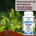 YUMMYVITE Green Tea Extract 98% | 3X Strength | 75% Polyphenols | 45% EGCG | Super Antioxidant - 60 Capsules - Buy Online on GoSupps.com