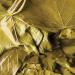 Gurme212 Premium Turkish Grape Leaves 16 oz - Authentic Mediterranean Cuisine Essential - Buy Online on GoSupps.com