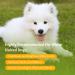 Nobleza Dog Shampoo for White Fur - Optimal Care for Maltese Havanese & Bichon - 250ml - Buy Online on GoSupps.com