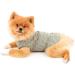 Paidful British Dog Shirt | Striped Cat Vest & Soft Cotton T-Shirt for Boys | Summer Clothing for Puppies Chihuahuas & Yorkies - XL Green - Buy Online on GoSupps.com