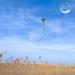 Large Cobra Kite for Adults and Kids with Extra Long 49 ft Tail - Easy to Fly - Best Huge Beach Kite for Sky Domination - Buy Online on GoSupps.com
