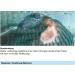 Sera Med Professional Protazole 100 ml - Effective Treatment for Fish Skin Parasites | Aquarium Medicine - Buy Online on GoSupps.com