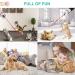 JMMTAAG Laser Pointer for Cats 3 Pack - Interactive Laser Pointer Cat Toys for Indoor Pets - Teasing and Training Chaser Toy - Buy Online on GoSupps.com