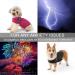 Mint Dog Coat for Anxiety Relief | Lightweight Wrap Around Coat for Small Dogs | S Grey - Buy Online on GoSupps.com