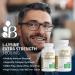 Bronson L-Lysine Extra Strength 1000 mg - High Potency Immune Support & Collagen Synthesis - Non-GMO Vegetarian Tablets - 250 Count - Buy Online on GoSupps.com