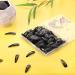 120 Pieces Black Snap Hair Clips for Girls - Funtopia 5cm Perfect Birthday Party Gifts - Buy Online on GoSupps.com