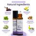Relax Essential Oil Roll On 10ml - Lavender Aromatherapy Massage Skincare - Premium Essential Oil Roller by Secret Garden - Buy Online on GoSupps.com
