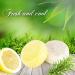 PHOGARY 2PCS Hair Shampoo Bar Hair Soap Natural Plant Essence Scented Shampoo for Dry and Damaged Hair - 3.88 oz (Rosemary + Lemon) - Buy Online on GoSupps.com
