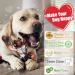 Zinbo Indestructible Dog Toys for Aggressive Chewers - Dark Brown, Medium/Large Breed - Buy Online on GoSupps.com