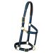 Weaver Leather Padded Adjustable Nylon Horse Halter 1" Average Horse Blue/Black