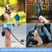 Vivifying 500ml Foldable Dog Bowl - Silicone Travel Bowl for Dogs & Cats (Black & Blue) - 2PCs Portable Feeding Solution - Buy Online on GoSupps.com