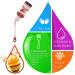 20 x 10ml Concentrated Food Flavor Drops - Premium Aroma Oils for Baking Cooking Drinks & Soaps - Water & Oil Soluble - Buy Online on GoSupps.com