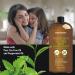 First Botany Tea Tree Mint Hand Soap - Natural Liquid Hand Soap with Peppermint, Jojoba & Coconut Oil - 16 oz - Buy Online on GoSupps.com
