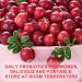 TRUERELIEF Probiotics for Women with Cranberry Extract - Daily Gummy Supplement for Feminine Balance Digestive & Immune Support - 60 Gummies (1) - Buy Online on GoSupps.com