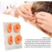 Ear Display Model - Realistic Human Ear Replica with Waterproof Skin Texture, Educational Tool with Acrylic Stand for Shop Window Display - Buy Online on GoSupps.com
