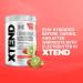 Scivation XTEND Original BCAA Powder | Sugar Free Post Workout Muscle Recovery Drink with Amino Acids | 7g BCAAs for Men & Women | 30 Servings Strawberry Kiwi Strawberry Kiwi 30 Servings (Pack of 1) - Buy Online on GoSupps.com