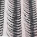 8mm/10mm/12mm/14mm/16mm Available Fishtail Design Individual False Eyelashes Cluster 12 Roots 0.07 C Curl Nature Long Black Soft Eyelashes Extensions Beauty Tools (16mm)