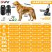 Lovpet Dog Jacket & Coat - Waterproof XL Padded Vest with 45 Feces Bags Chest Strap Reflectors & D-Ring for Dogs - International Shipping Available - Buy Online on GoSupps.com
