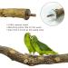 5 PCS Bird Parrot Perches for Cage 9.84 inches Natural Wood Perch Platform Stand for Parrots Birds Cage Parakeets Cockatiels Conures Cages Accessories (5 PCS) - Buy Online on GoSupps.com