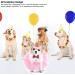 Nicoone Dog Tutu Rock Fly Crown Hat Set | Cute 3-Piece Outfit for Small Dogs & Cats | Perfect Dog Party Gift - Buy Online on GoSupps.com