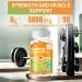 Buy Sugar-Free Creatine Monohydrate Gummies for Men & Women - 5g Chewable Supplement - 180 Orange Gummies (Pack of 2) - International Shipping - Buy Online on GoSupps.com