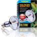 Exo Terra Halogen Basking Spot Bulb 100 W - Buy Online on GoSupps.com