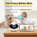 Enabot EBO Air Home Security Pet Camera 2 Way Talk Night Vison Wireless APP Remote Control Indoor Security Camera Movable Rechargeable Cam for Dog/Cat SD Card Storage - Buy Online on GoSupps.com