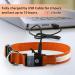 Buy Luminous LED Dog Collar - Waterproof 7 Color Adjustable Light for Night Safety | Fits Small to Large Dogs (28-40cm) - 2022 Edition - Buy Online on GoSupps.com
