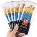 Acrylic Paint Brush Set - 60 pcs Nylon Hair Brushes for Oil, Watercolor Painting - Professional Artist Kit - Buy Online on GoSupps.com
