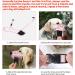 Buy Heele Dog Muzzle - Soft Nylon Breathable Mesh Basket for Comfortable Dog Training & Safety - International Shipping Available - Buy Online on GoSupps.com
