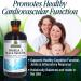 Nature's Answer Omega-3 with Black Seed Oil - 8 fl oz Orange | Premium Fish Oil Supplement - Buy Online on GoSupps.com