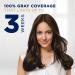Clairol Nice n Easy Touch Up 005 Medium Brown - International Shipping Available - Buy Online on GoSupps.com