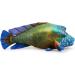 Zappi Co Plush Wrasse Fish Toy - 31cm Soft Stuffed Animal for Kids | Safari Animals Collection - Buy Online on GoSupps.com