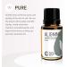 Rocky Mountain Oils Aligning Essential Oil Blend 15ml - 100% Pure & Natural Fractionated Coconut Oil Base - Perfect for Mind & Body Harmony - Buy Online on GoSupps.com