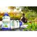 NUTRILUSH Nerve Nutrient & Remedy for Stress, Sleeplessness, and Headaches - 300 Pellets - Buy Online on GoSupps.com