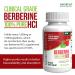 Nature's Science Berberine HCL with Phytosome Green Tea for Weight Management 100% Pure Clinical Grade Berberine HCL for Better Absorption - Helps Metabolism Keeps Full for Longer - 60 Caps - Buy Online on GoSupps.com