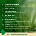 Ecla Skin Care 100% Pure Aloe Vera Gel (8 oz / 240 ml) | For Face, Body & Hair | Organic, Cold-Pressed, Alcohol-Free - Buy Online on GoSupps.com