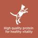 IAMS High Protein Chicken & Salmon Dry Cat Kibble - 6 lb (1 Pack) - Buy Online on GoSupps.com