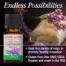 Nature's Answer Organic Lavender Essential Oil 100% Pure - 0.5 fl oz (15 ml) - Buy Online on GoSupps.com