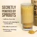 Chai Balance Sprout Powder - Organic Caffeine-Free Golden Milk with Turmeric Adaptogens & Warming Spices - Buy Online on GoSupps.com