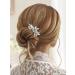 Catery Crystal Bride Wedding Hair Comb with Rhinestone - Silver Bridal Side Combs for Women - Buy Online on GoSupps.com