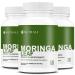 ORGANIC MORINGA LEAF Capsules 1200mg High Potency (2 x 600mg) for Liver Detox Cleanse Gut Health Gluten Free Non-GMO Vegan-Friendly Antioxidant Supplement -360 Capsules (3 pack) 360 count (Pack of 1)