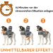 Thundershirt Calming Vest for Dogs - Grey XL | Anxiety Relief Jacket - International Shipping Available - Buy Online on GoSupps.com