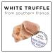 Hask Orchid & White Truffle Deep Conditioner 1.75oz Packette - Intense Moisture - Buy Online on GoSupps.com