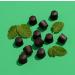 Organic Minty Chocolate Chips 1 oz | 12 Pack Vegan Snacks | Paleo Dark Chocolate Baking Chips | Non GMO Kosher | Great for Baking & Snacking - Buy Online on GoSupps.com