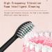 ELEWealth Sonic Electric Toothbrush - 18 Gear, 6 Modes, 2-Minute Timer, IPX7 Waterproof, USB Charging - Black - Buy Online on GoSupps.com