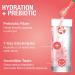 Hydralyte Electrolyte Prebiotic Powder - Electrolytes Plus System Balance to Boost Gut Health - Made from Promitor a Corn Based Soluble Fibre - Enhances the Natural Probiotics in The Body 20 Count - Buy Online on GoSupps.com