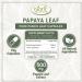 SENTA Papaya Leaf Capsules (Carica Papaya Extract) 500mg - 120 Veg Capsules (Pack of 2) - Buy Online on GoSupps.com