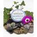 Haslinger Seaweed Alga Marina Shaving Soap 60g - Natural Ingredients - Buy Online on GoSupps.com